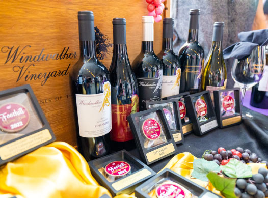 Display of award winning wine with award plaques